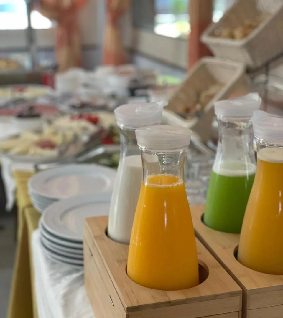 Hotel Vila Misiri Durres